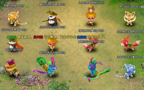 智慧与实力915《英雄远征》暗恋桃花源_本站