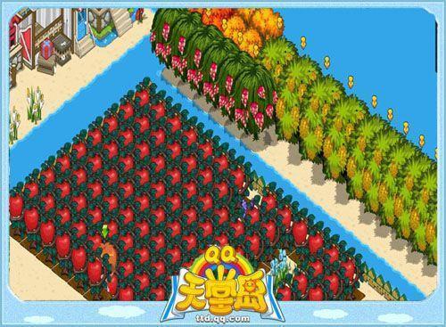 �ĵ����� ��QQ���õ�����һ���ں�ȥ��_��վ