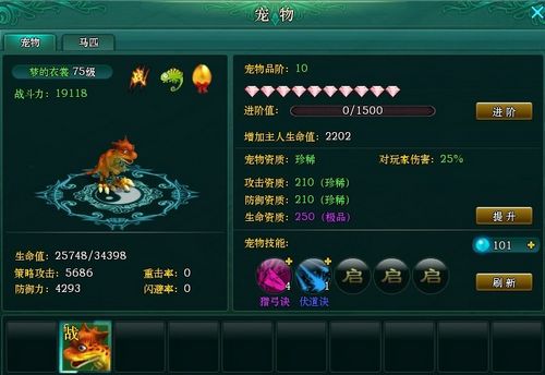 百变女郎 9377《盛世三国》宠物外观随你变_本站