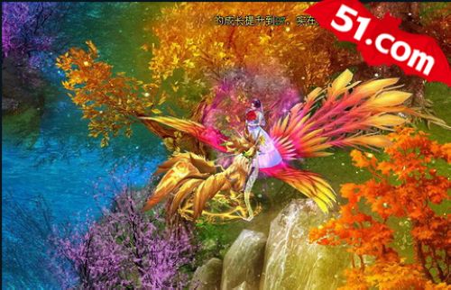 ����2012ר����� 51���������Ρ���������_��վ