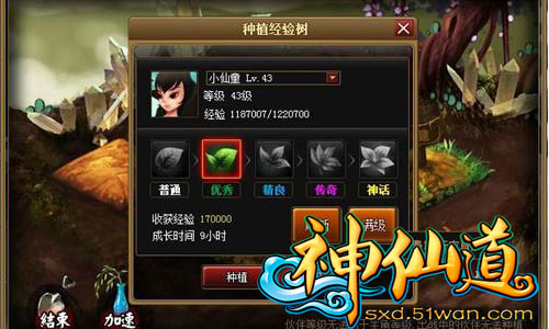 51wan�����ɵ��� ����ҩ԰�����淨ȫ�����