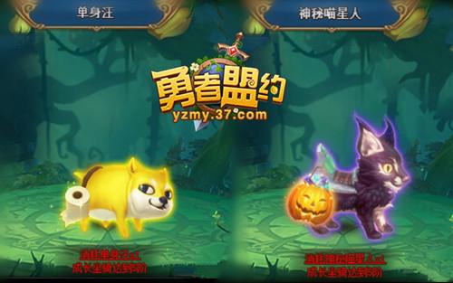 ��Ϯ����� ��������Լ�������������׵ǳ�_��վ